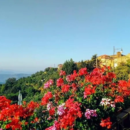 Bed and Breakfast Antonella