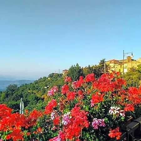 Bed & Breakfast Antonella 3*